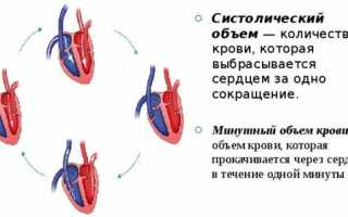 Важное про минутный объем крови