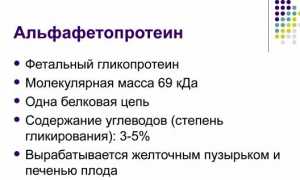 Вся информация про альфа фетопротеин