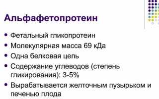 Вся информация про альфа фетопротеин
