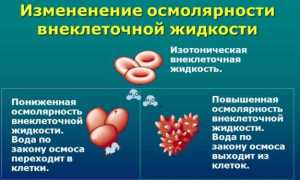 Важная информация про осмолярность крови