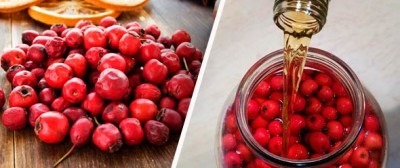 отвар боярышника